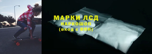 тгк Ростов