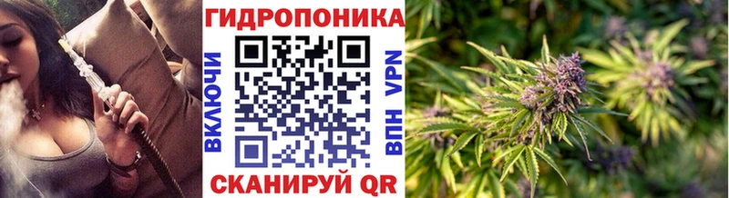 Бошки марихуана сатива  сколько стоит  Княгинино 